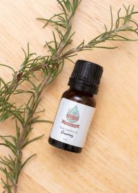 Essential Oil (Scent: Rosemary)